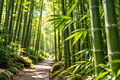 Bamboo Forest Squeezable Wax