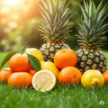 Citrus Sunshine Car Freshener