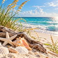 Coastal Vibes Multipurpose Cleaner